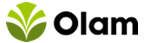 Olam